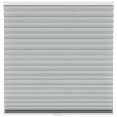 Fenstr plisségordijn Chicago dubbel 45mm verduisterend - lichtgrijs (20035) - Leen Bakker