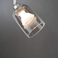 Paulmann Rado 95355 230V-railsysteemcomponenten Lampenscherm Helder - thumbnail