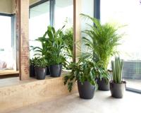 Pot - ARTEVASI - SAN REMO - 42 br - Wit - thumbnail