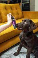 Animology Heaven Scent Fragrance Mist - thumbnail