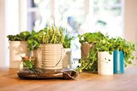 Edding 5200 • permanent spray premium acrylverf licht ivoorkleurig mat - thumbnail