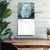 Kittens Kalender 2026 - thumbnail