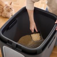 Rotho Biala XL kattenbak Antraciet - thumbnail