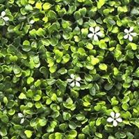 Kunstplanten mat 50x50 cm buxus jasmijn Buitengewoon de Boet - Buitengewoon de boet - thumbnail