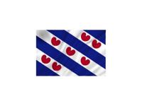 Vlag Friesland 50x75 cm spun-poly - thumbnail