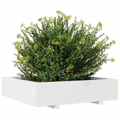 Plantenbak 100x100x26,5 cm massief grenenhout wit Plantenbak 100x100x26,5 cm massief grenenhout wit
