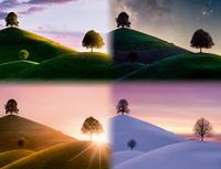 Ravensburger Legpuzzel stemmingsvolle bomen en bergen, 2000st. - thumbnail