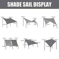 Rode beveerde beukenboom - thumbnail