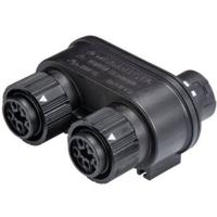 Wieland Electric 46.050.1253.1 Ronde connector verdeler Totaal aantal polen: 4 + PE Serie (ronde connectoren): RST® MINI 1 stuk(s) - thumbnail