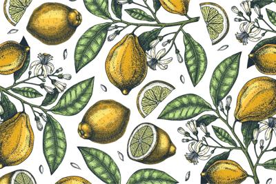 Fotobehang - Citroenen en bladeren, 11 maten, premium print, inclusief behanglijm