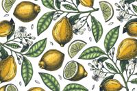 Fotobehang - Citroenen en bladeren, 11 maten, premium print, inclusief behanglijm - thumbnail
