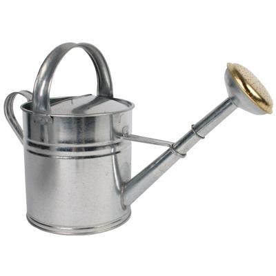 GIETER 5L METAAL VERZINKT GRV5