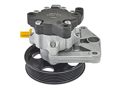 Servo pomp 0146310018 Servo pomp 0146310018