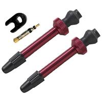 Barbieri tubeless valve aluminium sv 45mm red 2 pieces - thumbnail
