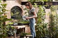 Elho green basics kweektray small living black - thumbnail