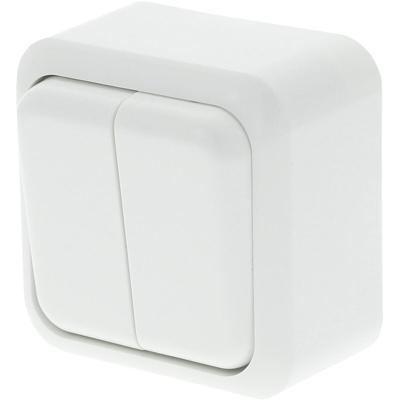 Q-LINK Dubbele Serieschakelaar Opbouw Polarwit