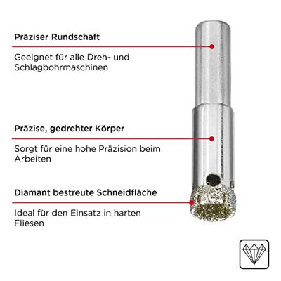 kwb 12 T25 SB 499812 Gatenzaag 12 mm 1 stuk(s)