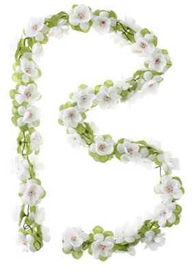Basil roses garland - bloemenstreng - wit
