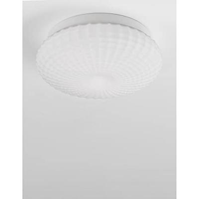 Lyora PlafondlampClam wit glas - 9738256