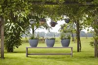 Hangschaal Nova 35 concrete - thumbnail