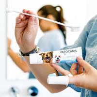 VETOCANIS DENTAL HYGIËNE KIT HOND PLAK VECHTER - thumbnail