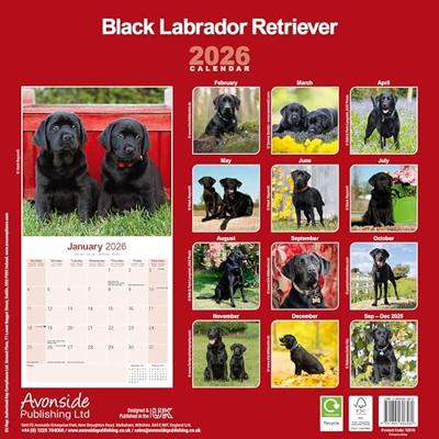 Black Labrador Retriever Calendar 2026 Square Dog Breed Wall Calendar - 16 Month