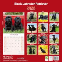 Labrador Retriever Zwart Kalender 2026 - thumbnail