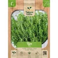 Tijm echte vulgaris 150st - thumbnail