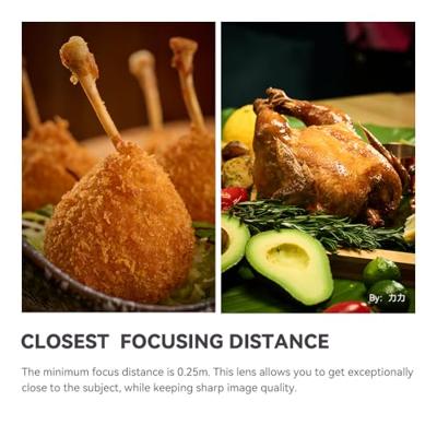 TTArtisan Macro 100mm F/2.8 Fuji X Black