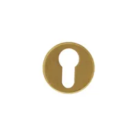 Hdd Pro Cylinderplaatje Rond Klikrozas 45 Mm Mat Messing Gepolijst - thumbnail