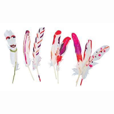 Colorations natuurlijke witte veren, 48st.