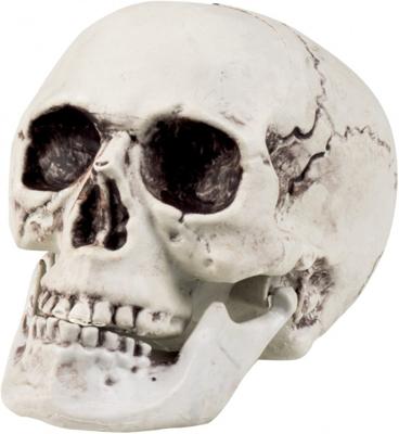 Schedel Mailla met beweegbare kaak 20x15cm