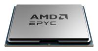 AMD Epyc 8224P 24 x 2.55 GHz 24-Core Processor (CPU) tray Socket: AMD SP6 160 W - thumbnail