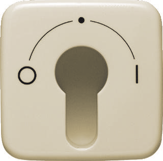 Busch-Jaeger 2CKA001710A1340 Sleutelschakelaar, Sleuteltoets Afdekking Duro 2000 SI Parel-wit, Crème-wit 1 stuk(s)