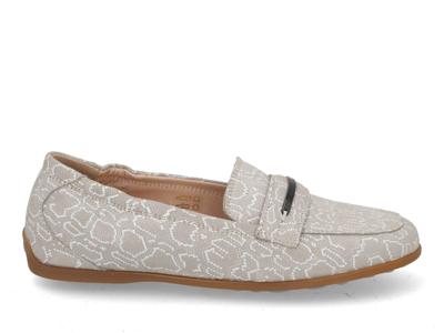 Floris van Bommel Sitti 03.07 taupe taupe maat 41
