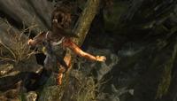 Tomb Raider Definitive Edition - thumbnail