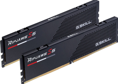 G.Skill ripjaws s5 32 gb ddr5-6000 (2x 16 gb) werkgeheugen (zwart, f5-6000j3636f16gx2-rs5k, xmp 3.0)