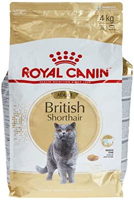 Royal Canin Adult British Shorthair kattenvoer 4 kg - thumbnail