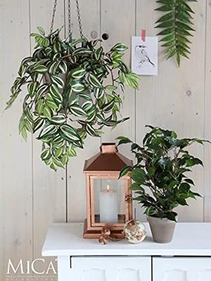 Mica Decorations Ficus Exotica Kunstplant in Bloempot 60 cm