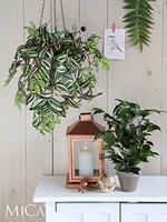 Mica Decorations Ficus Exotica Kunstplant in Bloempot 60 cm - thumbnail