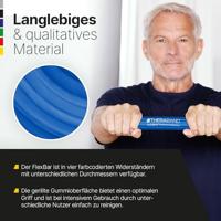 Theraband - Flexbar - thumbnail