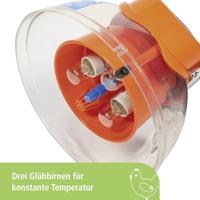 Broedmachine Covatutto 16 L digital - thumbnail