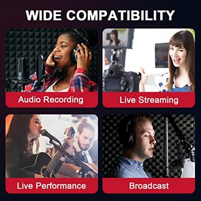 Xvive P1 mobiele fantoomvoeding Xvive P1 mobiele fantoomvoeding