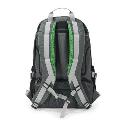 Dicota BackPack ACTIVE Laptoprugzak Geschikt voor max. (laptop): 39,6 cm (15,6) Groen, Grijs
