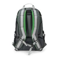 Dicota BackPack ACTIVE Laptoprugzak Geschikt voor max. (laptop): 39,6 cm (15,6) Groen, Grijs - thumbnail