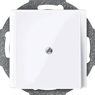 Merten 296325 Afdekking System M Wit 1 stuk(s)