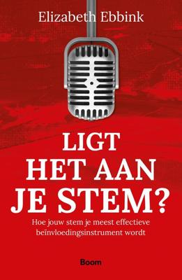 Ligt het aan je stem? - Elizabeth Ebbink - ebook