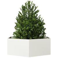 Plantenbak zeshoek 138x120x45 cm staal wit - thumbnail