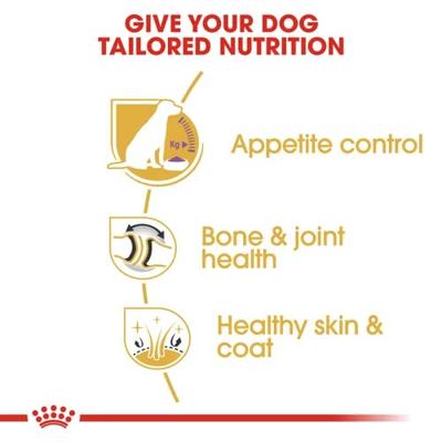 Royal Canin Labrador Retriever Sterilised Adult hondenvoer 12kg - thumbnail