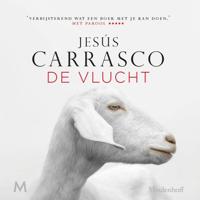 De vlucht - thumbnail